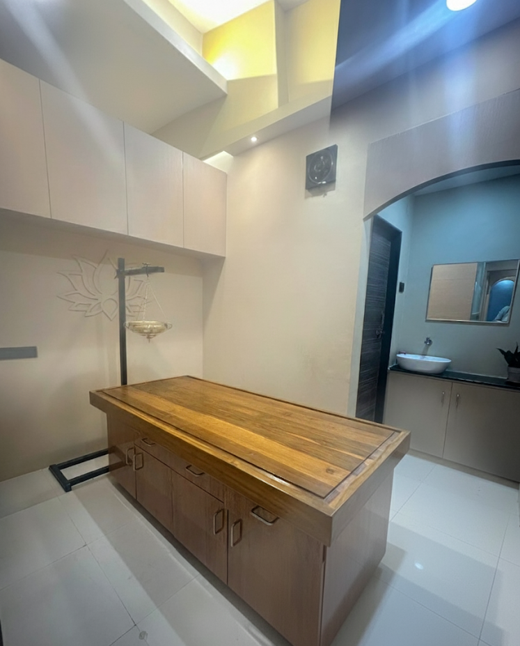 Ayurvedic doctor consultation