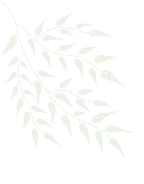 holistic health nashik